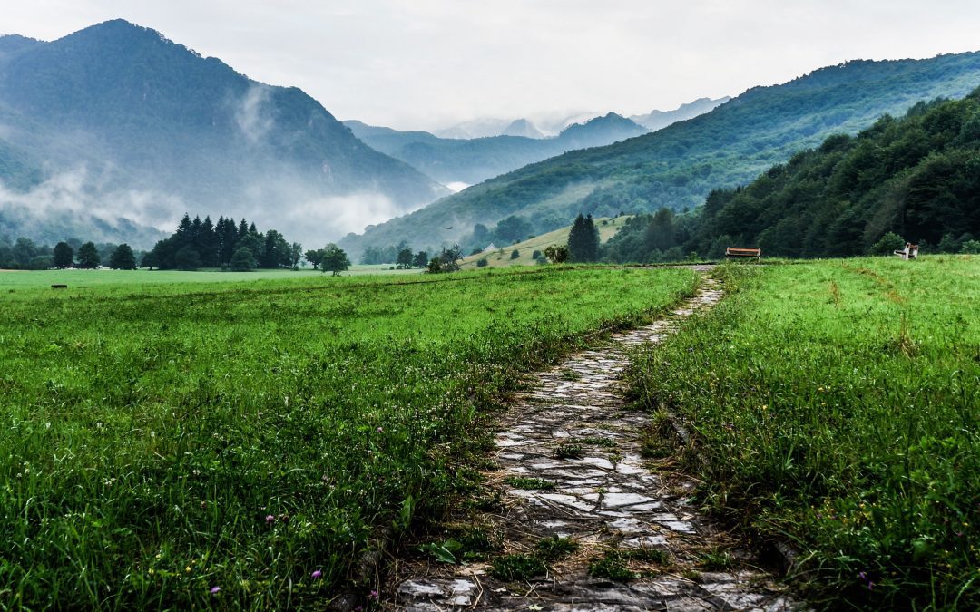 The 7 Habits of Highly Effective Clients in Divorce